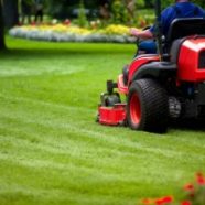 When Would You Call A Lawn Service Company?
