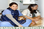Choosing Veterinary Hospital Stillwater, OK for Advanced Pet Wellness Solutions