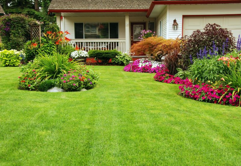 Effective lawn care starts with a weed control company Huntsville, AL, residents trust