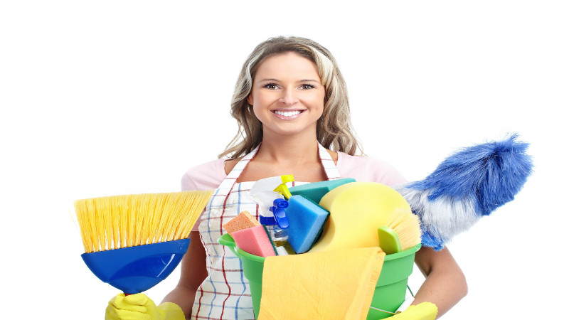 Hire A Maid To Provide House Cleaning In St. Petersburg FL