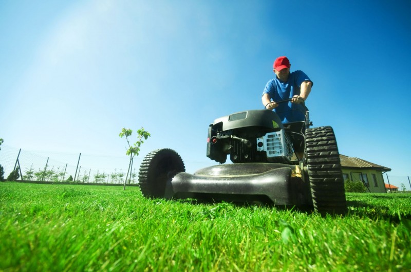 Enjoy Thicker Healthier Grass by Trusting a Local Lawn Care Company Marion IA