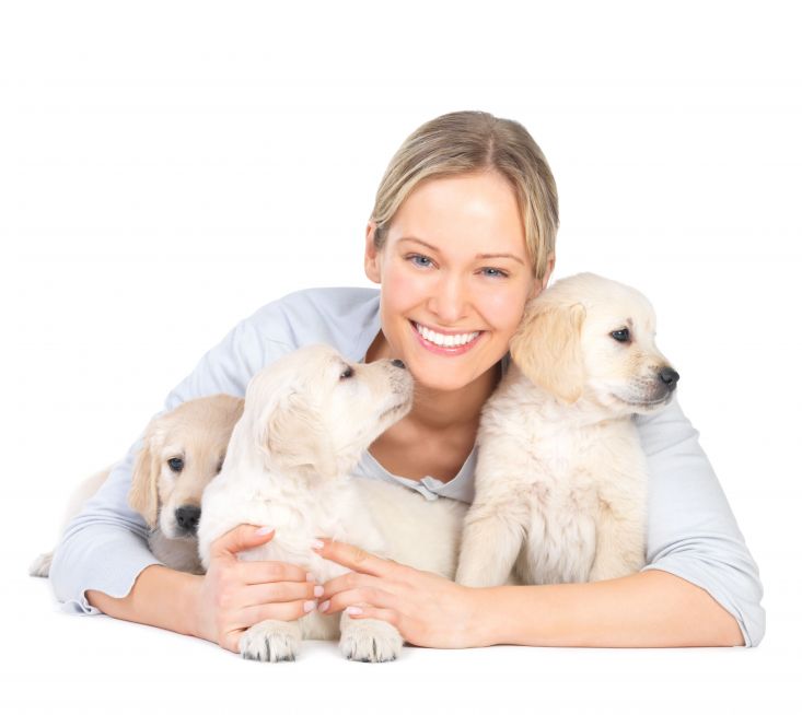 How to Find Reputed Pet Care Centers that Employ Veterinary Surgeons too