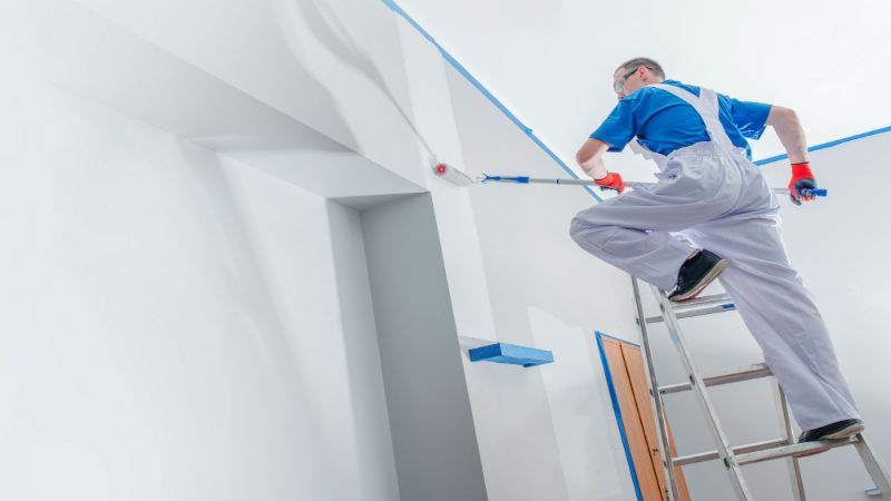A Guide for your Interior House Painters in Tampa, FL