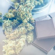 Tips For Effective Cannabis Production Facility Design