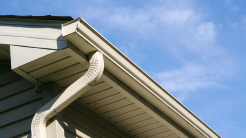 Get Your Gutters Cleaned in Newnan, GA