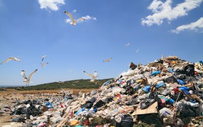 Benefits of Dumpster Rental in Grov,e CA