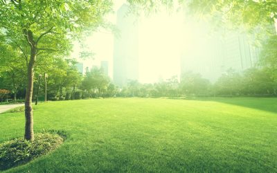 Enhance your outdoor space with a professional landscaping contractor in Fresno, CA