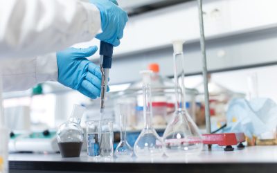 Improve Soil Health and Root Growth With Mycorrhizae For Plants in Your Landscape