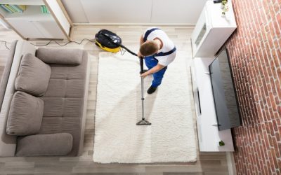 Restore Softness and Brightness with Professional Carpet Cleaning Near Fitchburg, WI for Families
