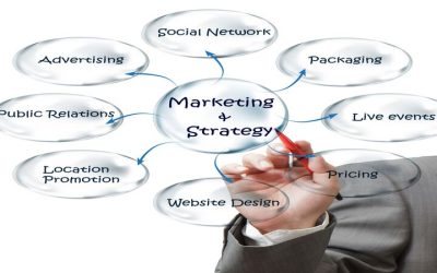 Transform Your Local Brand With a Trusted Advertising Agency Near Alexandria, LA