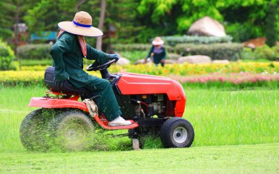 Save Time and Enjoy a Healthy Lawn with a Lawn Mowing Service York County SC Residents Trust