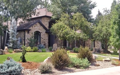 Create a Backyard Oasis with Landscaping in Wellington Tips for Stunning Outdoor Spaces