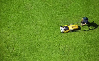 Transform Your Yard with Expert Lawn Maintenance Homeowners Trust
