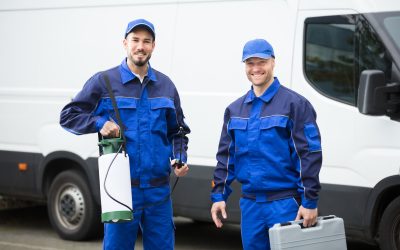 Keep Your Home Safe from Infestations with a Pest Control Company in Barnstable County MA Residents Trust