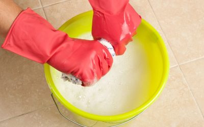 Make Your Home Shine With Stress-Free Residential Cleaning Services In Orlando, FL Solutions