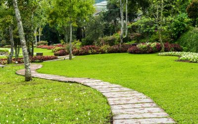 Concrete Landscape Edging in Deerfield, WI: Creating Lasting and Organized Outdoor Spaces
