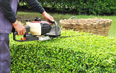 Boost Property Value Effortlessly with Landscaping Services Locals Appreciate