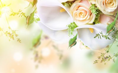 How to Shop Summer Flowers In Palo Alto for Effortless Garden Transformations at Home