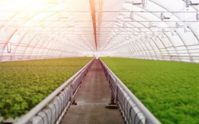 Boosting Agricultural Efficiency Using Farm Data Management Software for US Growers