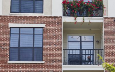 Enjoy Stress-Free Living in Pet-Friendly Apartments, Norfolk, VA, Pet Owners Love