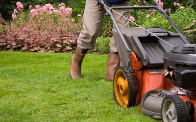 Achieve a Healthier Yard with Expert Lawn Care Services Property Owners Trust