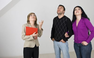 Protect Your Home with a Termite Inspection Princeton Township NJ Residents Trust Most