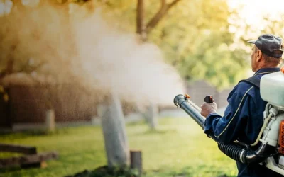 Why Treatment for Fleas and Ticks in Yard, Charlestown, IN, Matters for Families
