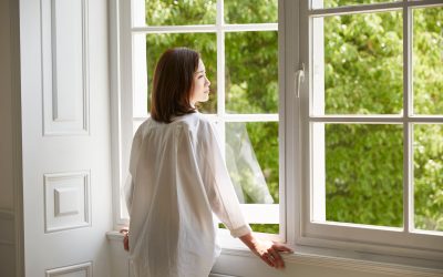 Restore the Beauty of Your Home with Professional Screen Repair Apex NC Solutions