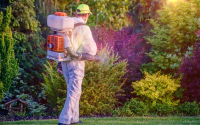 Make Outdoor Gatherings More Comfortable Using Mosquito Control in Olive Branch, MS