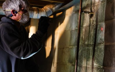 Hidden Dangers Lurking in Homes and Effective Mold Removal Macon, GA, Solutions