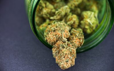 Achieve Next Level Satisfaction Through Exceptional Quality with THCA Live Resin Sugar
