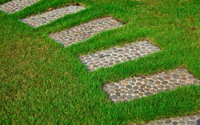 Reliable Maintenance Solutions from a Commercial Landscaping Contractor In New Jersey