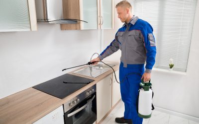 Secure Lasting Peace of Mind Using Proven Pest Control Services Tampa FL Methods