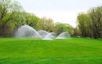 Backyard transformations made easy by landscapers in Twin Cities for stunning outdoor living