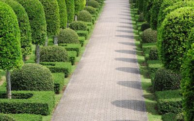 Planning the Perfect Outdoor Living Space with Custom Pavers