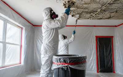 Practical Steps to Safer Living with Effective Asbestos Remediation in Regina