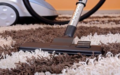Experience Fresh Floors by Choosing a Carpet Cleaning Company Near Jefferson for Your Home