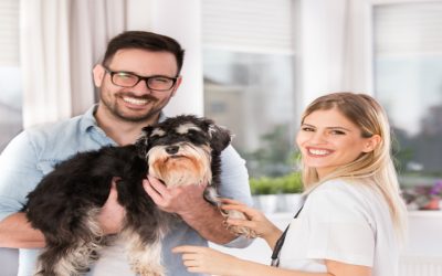 What to Expect During a Visit to an Emergency Animal Hospital Ormond Beach, FL