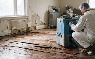 Choosing Reliable Water Damage Restoration Regina Services in USA